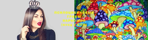 СК Заволжье