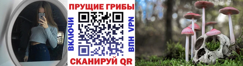 Галлюциногенные грибы прущие грибы  Купить закладки  Зуевка 